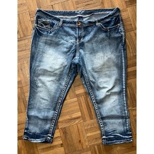 Amethyst Capris. Size 22